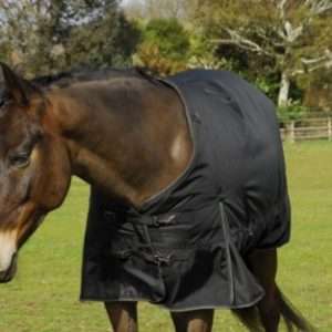 Meribel Outdoor Rug Black