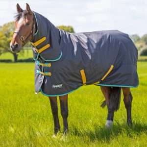Tempest Original 300 Turnout Combo Rug