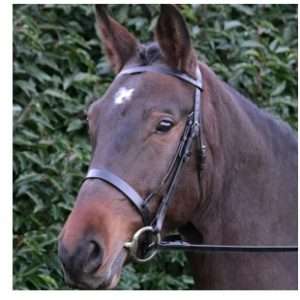 Hy Equestrian Hunter Bridle & Rubber Grip Reins - Black