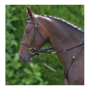 Hy EQUESTRIAN Market Harborough