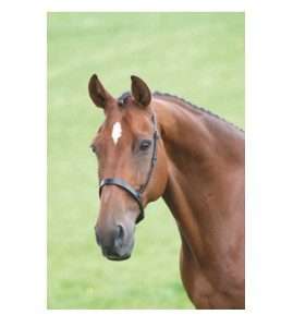 VELOCITI GARA Leather Cavesson Noseband