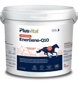 Plusvital Energene-Q10