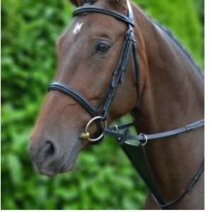 HY EQUESTRIAN BIB MARTINGALE