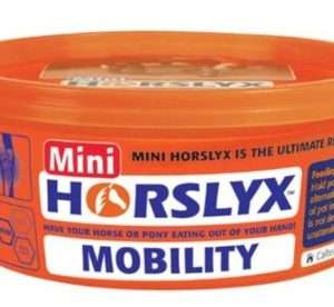 HORSLYX Mobility