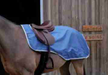 Equitheme Waterproof Exercise Sheet - Blue